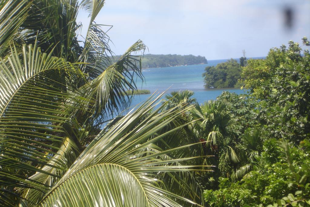 Finjam Cottage Port Antonio Exterior photo